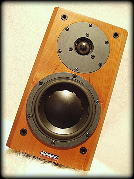 1-Dynaudio_focus110_1-001.JPG