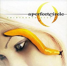 220px-A_Perfect_Circle-Thirteenth_Step.jpg