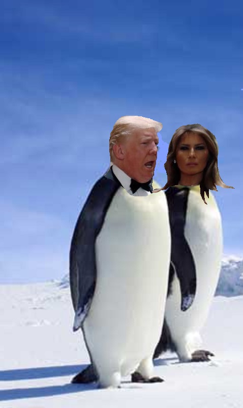 2_penguins_300.jpg