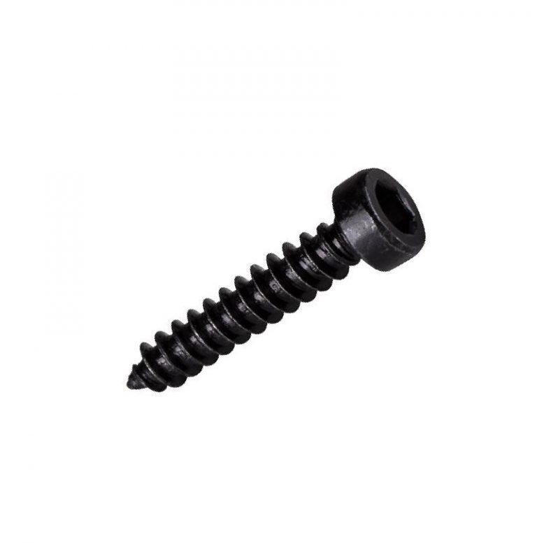 6x.75-Socket-Head-Deep-Thread-Screw-768x777.jpg