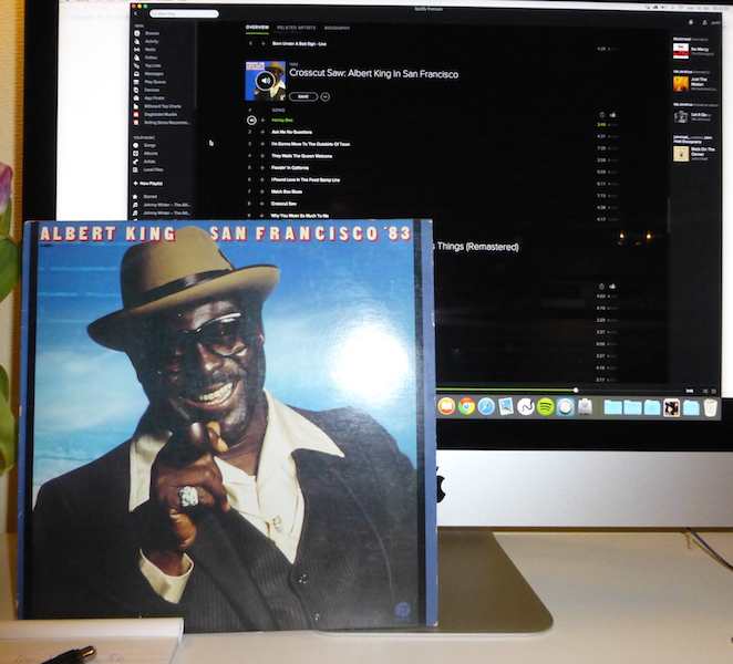 Albert King SF 83.jpg