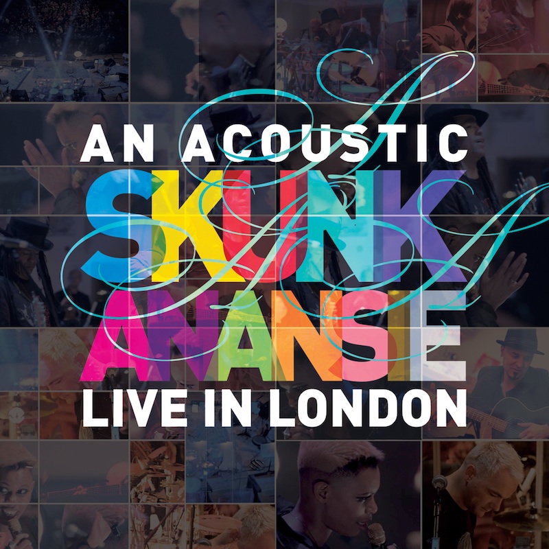 an acoustic skunk anansie_ packshot_web.jpg