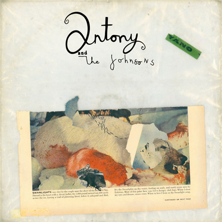 antony-and-the-johnsons-jonsons-swanlight-swan-light-album-cover-image-photo.jpg