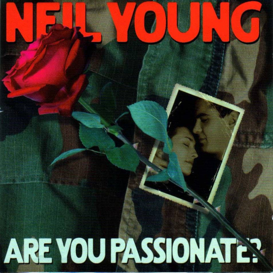 Are You Passionate cover.jpg