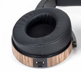 Audeze plug2.png