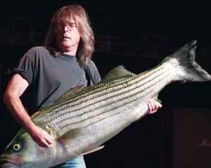 Bass Fish Player.jpg