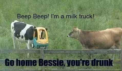 bessie.jpeg