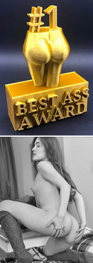 best ass award 17 11.png