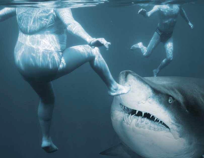 bigstock-Shark-attack-Life-insurance-c-67794685-810x626.jpg