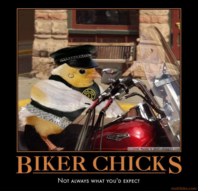 biker-chicks-biker-chick-bird-leather-demotivational-poster-1266274138.jpg