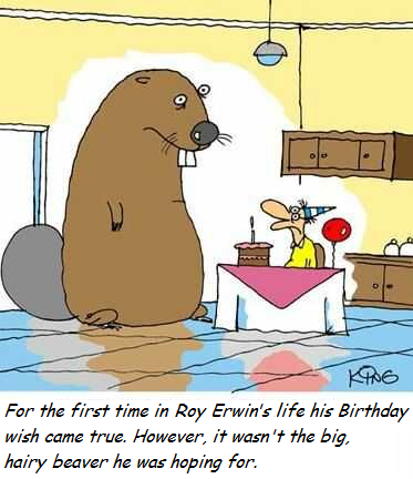 birthday beaver roy.png