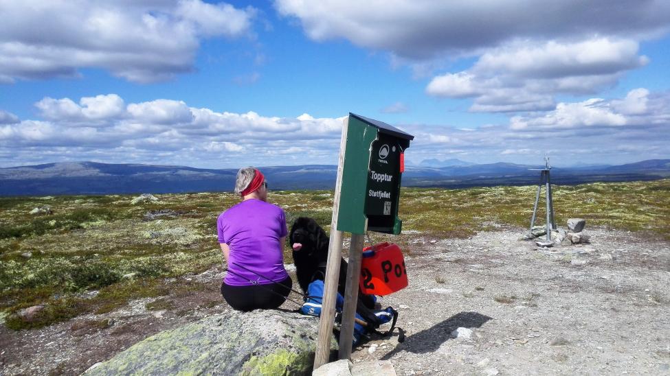 bitterm støtfjelletIMG_20170722_121035.jpg