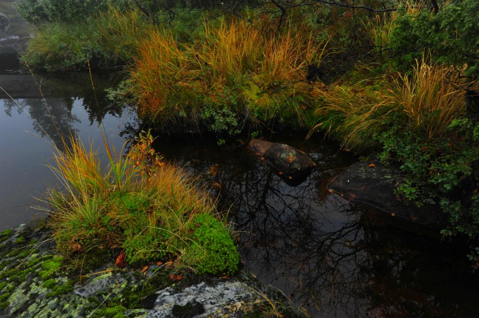 blefjell3.jpg