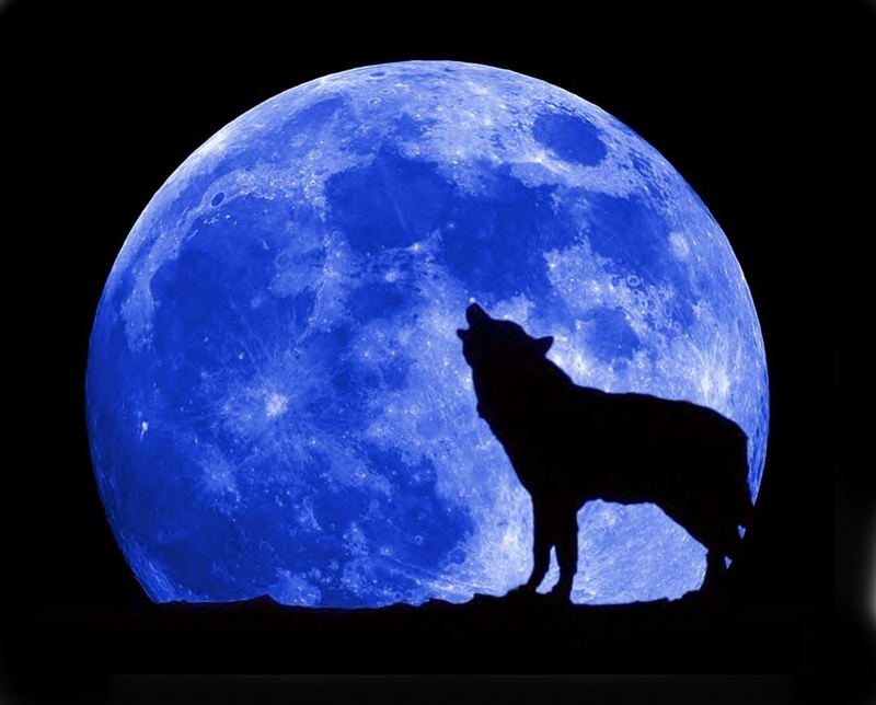 blue-moon-wolf-full.jpg