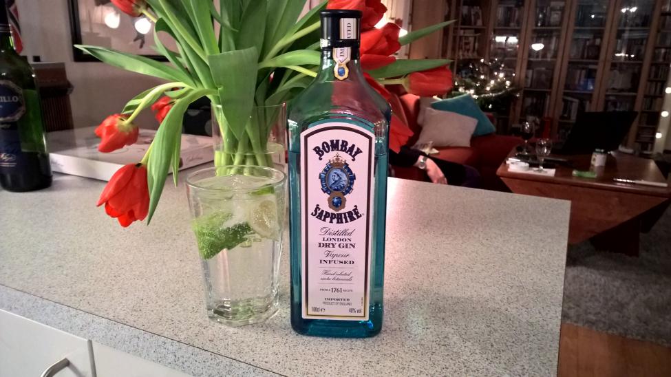 BombaySapphire Sølvi.jpg