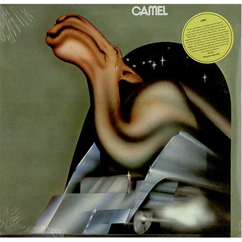 Camel-Camel-398645.jpg