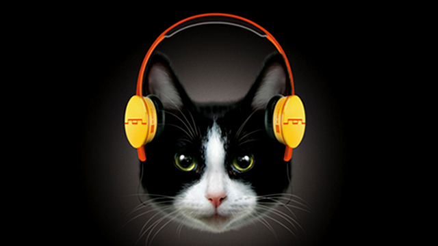 Cat-Headphones-640.jpg