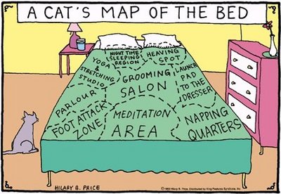 cat map.jpg