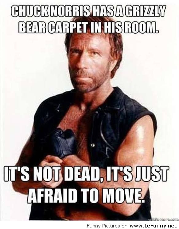 Chuck-Norris-2013-joke.jpg