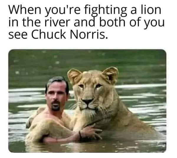 chuck_norris.jpg