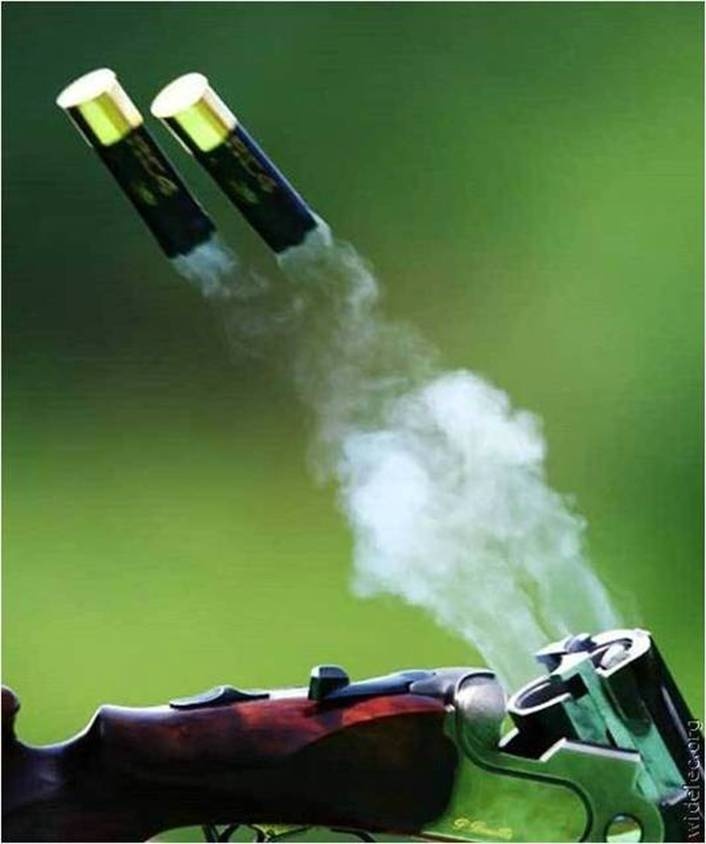 d7172361d8cc512c0966356210e4558f--shotgun-shells-double-barrel.jpg