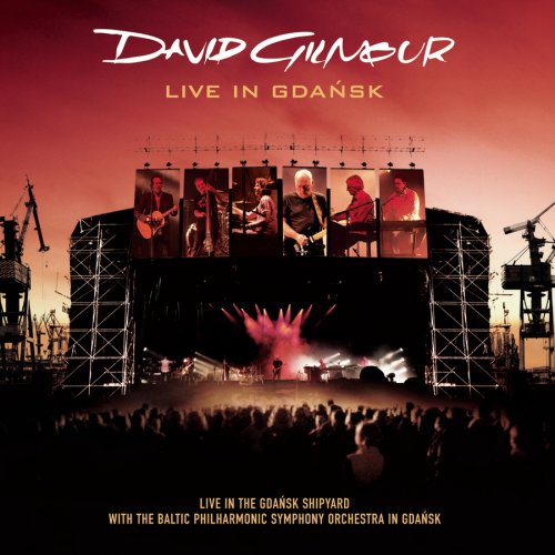 David Gilmour - Live in Gdansk.jpg