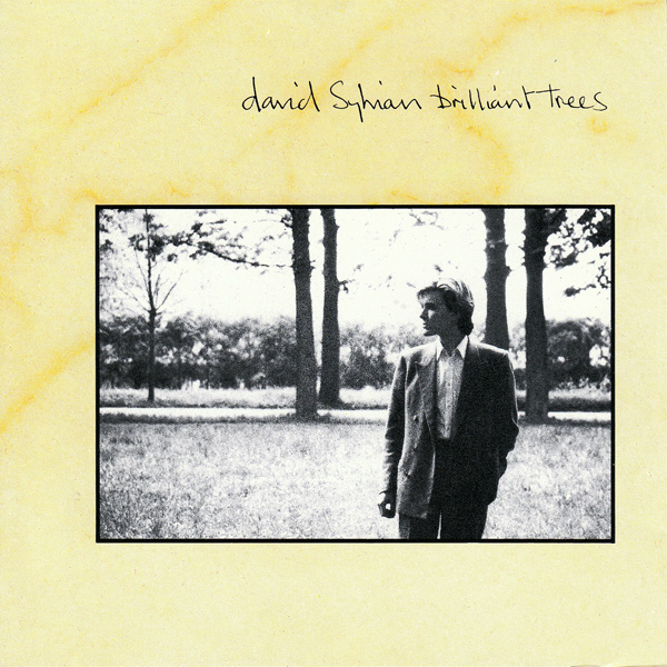 david_sylvian_brilliant_trees.jpg