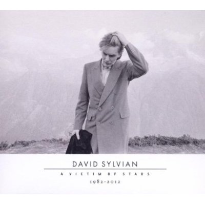 David_Sylvian_Victim_Stars.jpg