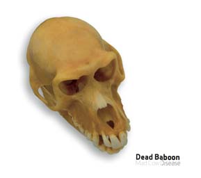 deadbabooncdcoverlite.jpg