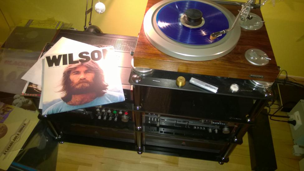 Dennis Wilson-Pacific Ocean Blue.jpg