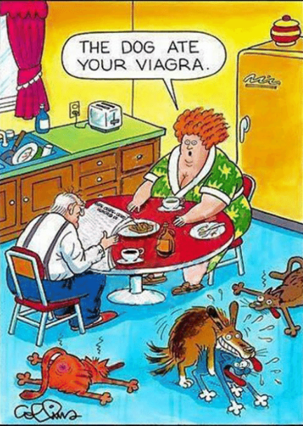 dog viagra.png