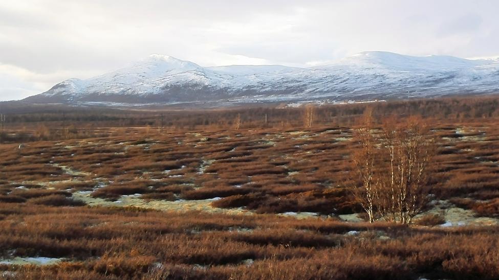 Dovre fjellet hjelledseter.jpg