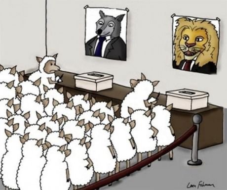 elections-hard-sheep-vote-wolf-lion-cartoon-funny.jpg