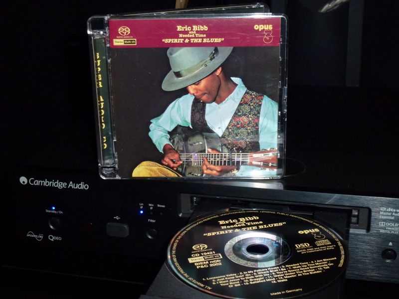 Eric Bibb.JPG