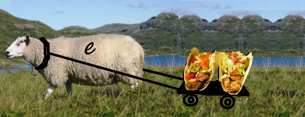 fåretrekker taco.png