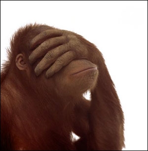 facepalm monkey.jpg