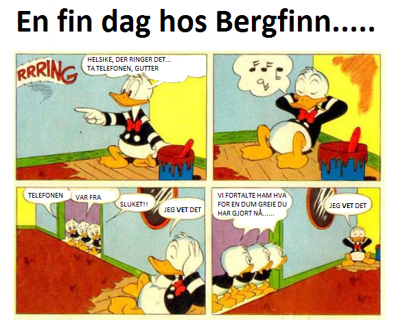 fin dag hos bergfinn.png