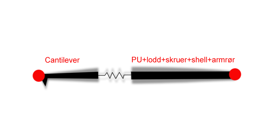 Fjær 2.jpg