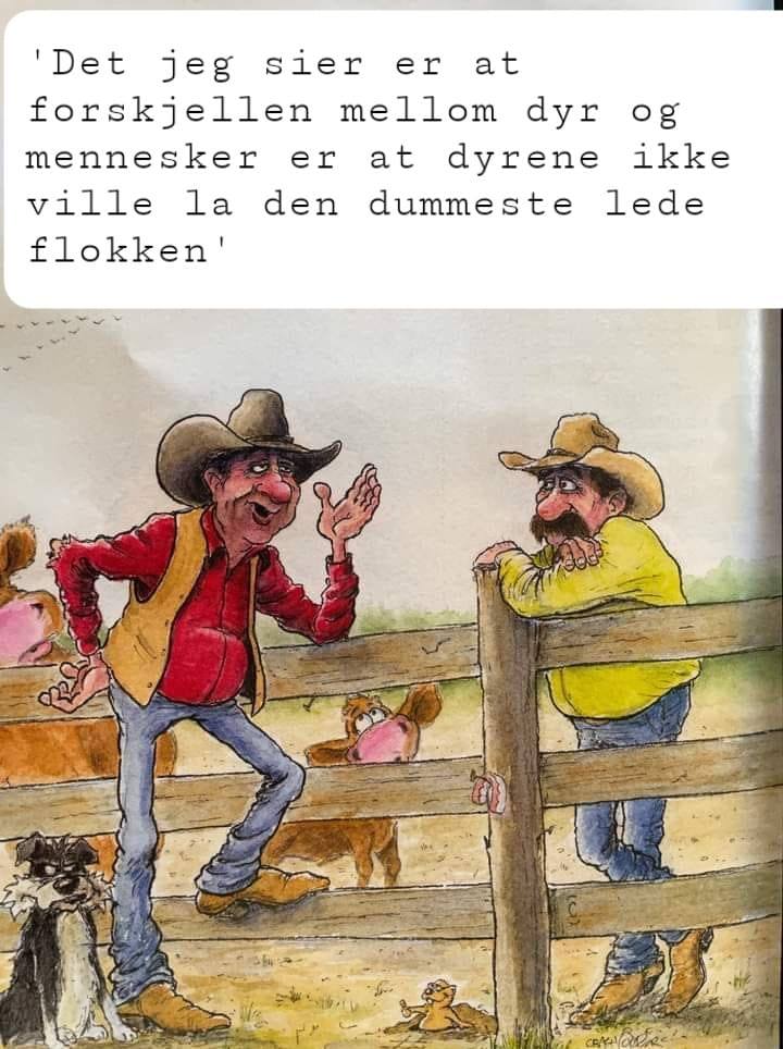 Flokken.jpg