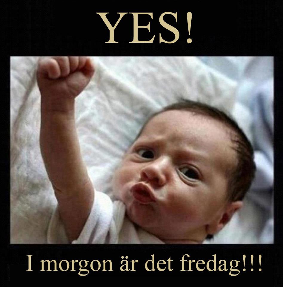 Fredag!.jpg