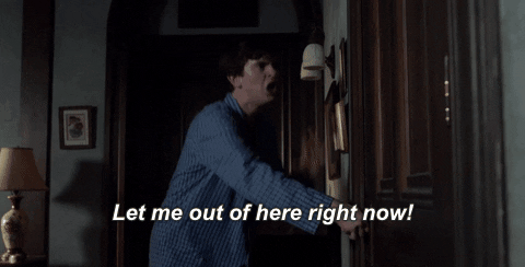 giphy (2).gif