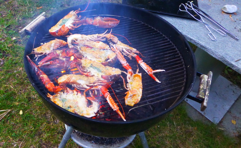 Grilling 28. august 2015.jpg