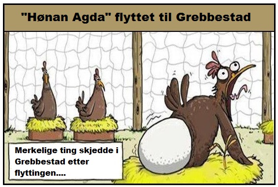 hønan agda i Grebbestad.jpg