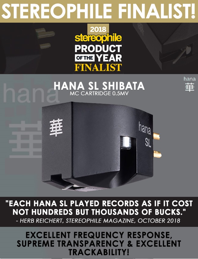 Hana SL award.jpg