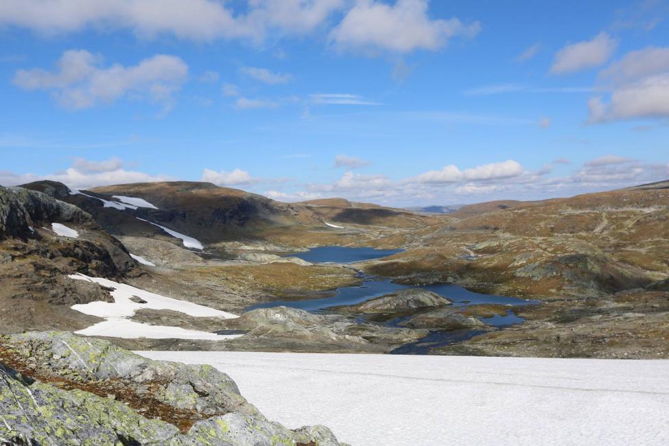 hardangervidda 6.jpg