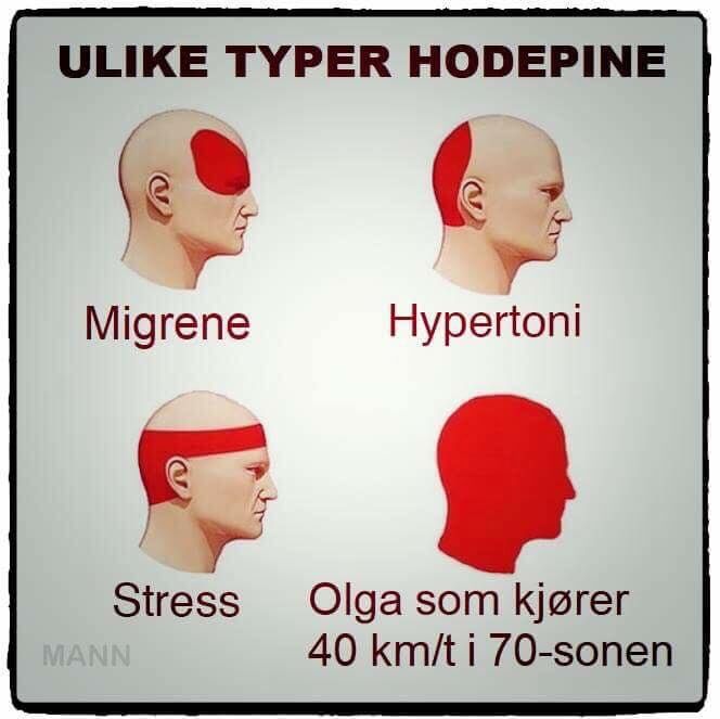 hodepine.jpeg