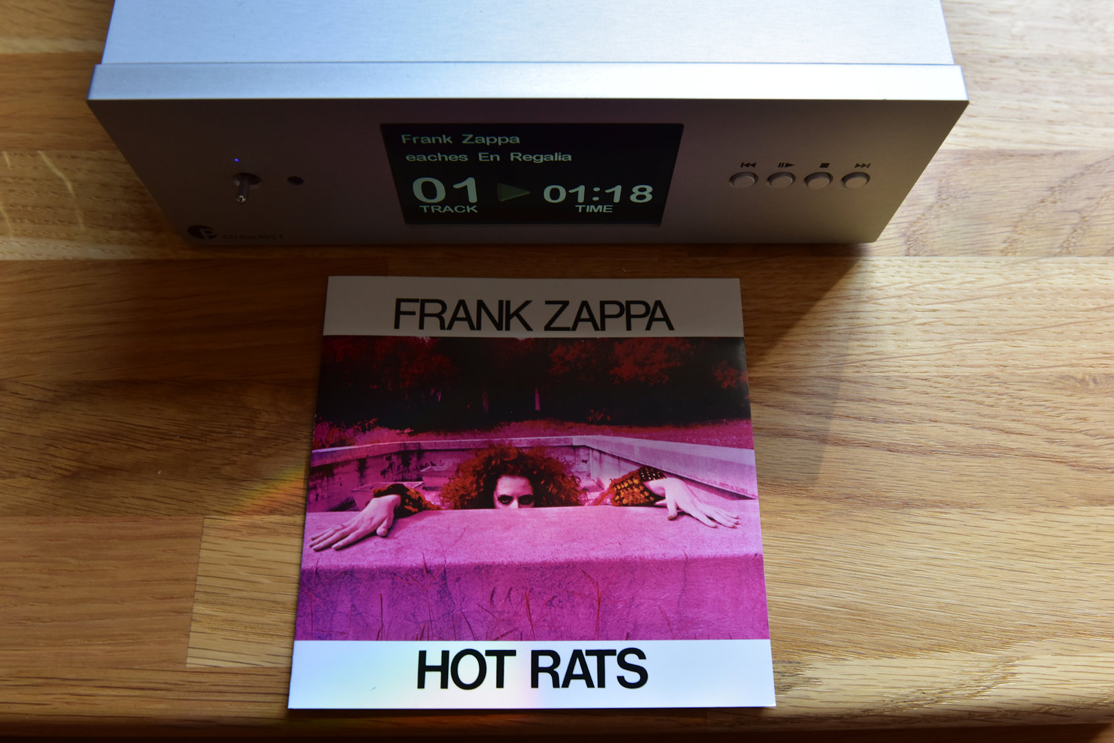 hot rats.jpg