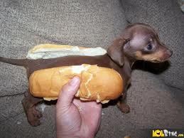 hot-real-dog.jpg