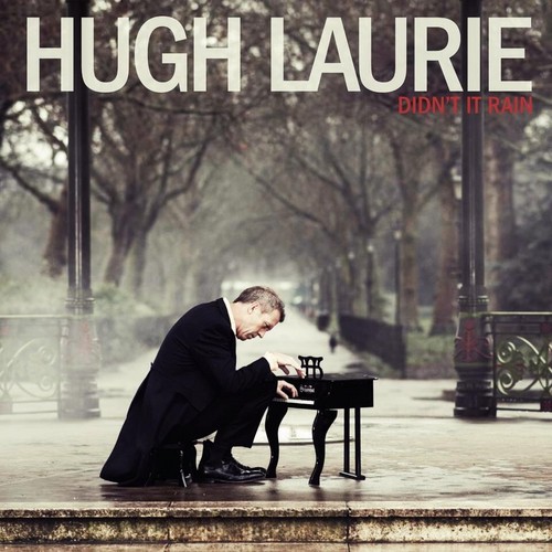 Hugh Laurie-Didn`t It Rain.jpg