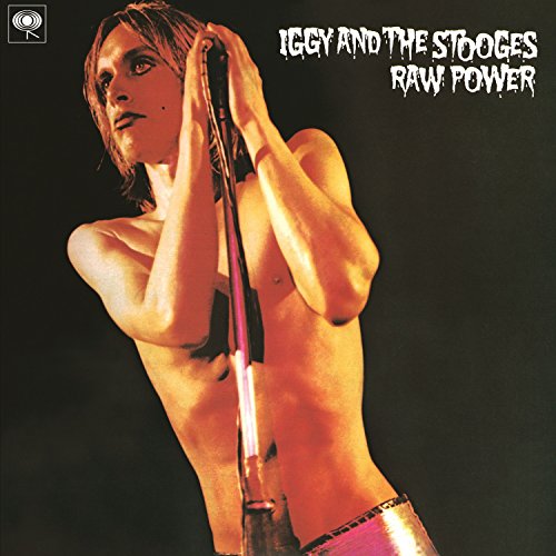 IggyTheStooges-RawPower.jpg